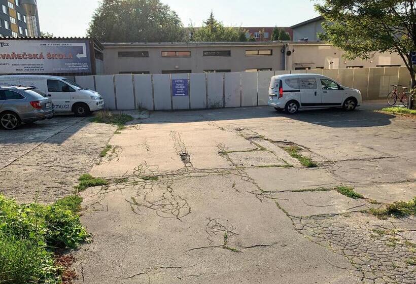 ベーシックルーム, Zlatá éra