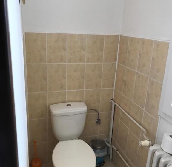 ベーシックルーム, Zlatá éra