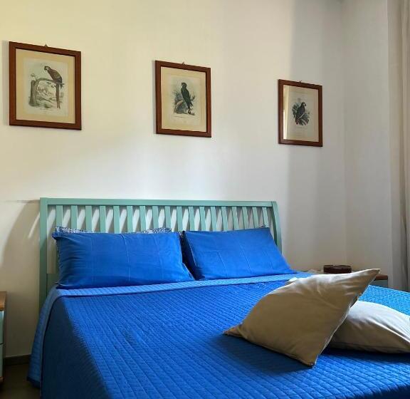 اتاق استاندارد یک نفره, Villa Amalia