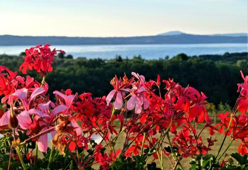 1 Bedroom Apartment Lake View, Azienda Agricola Pian Del Grano