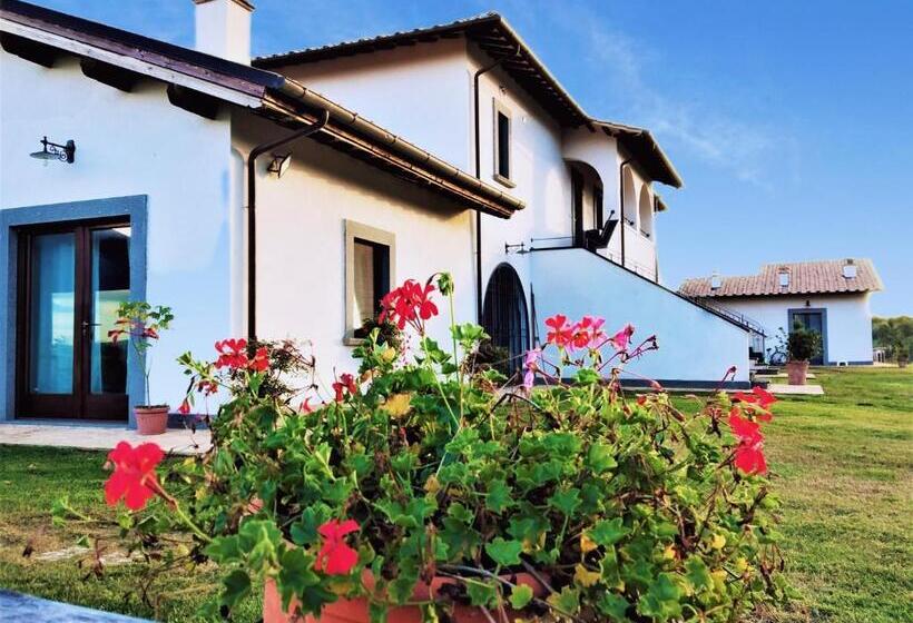 스탠다드 스튜디오 정원 전망, Azienda Agricola Pian Del Grano