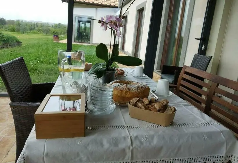 スタンダードルーム, Azienda Agricola Pian Del Grano