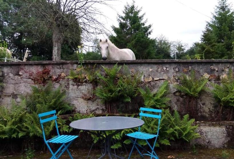 חדר סטנדרט, Les Anniquins