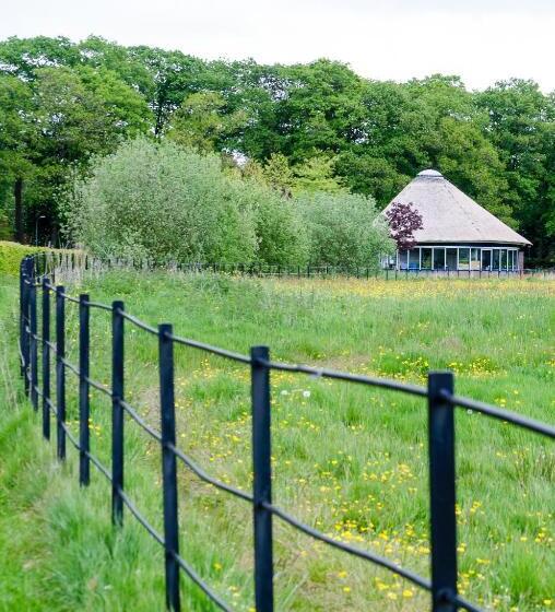 1间卧室的房子, The Pool House