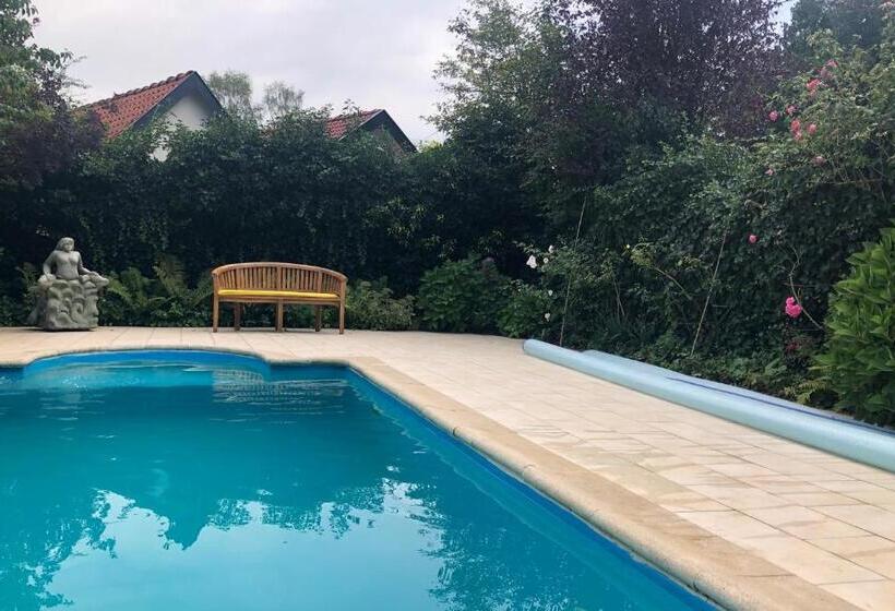 1间卧室的房子, The Pool House