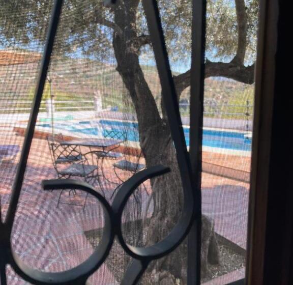 スタンダードルーム, Viva España