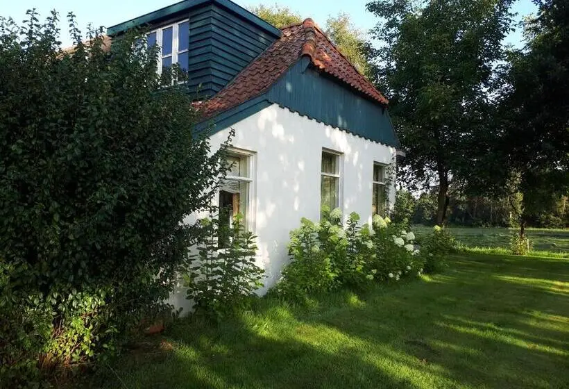 اتاق لوکس, Voorhuis