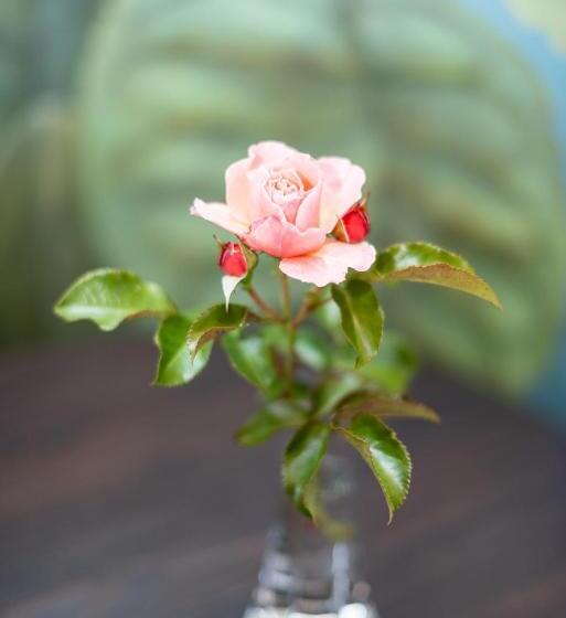 اتاق استاندارد با بالکن, Boutique Hotel Bersas