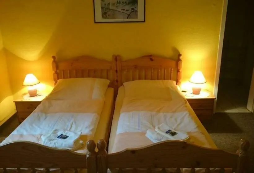 スタンダードシングルルーム, Gaststätte Und Pension Felsenthal