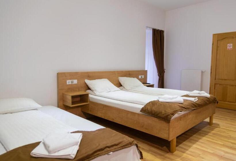 اتاق استاندارد با تخت بزرگ, 4rooms Central Sibiu