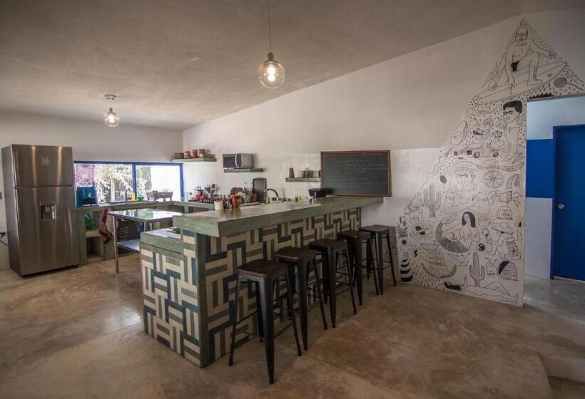 ガーデンビュースタンダードルーム, Todos Santos Hostel Super Fast And Stable Satellite Wifi