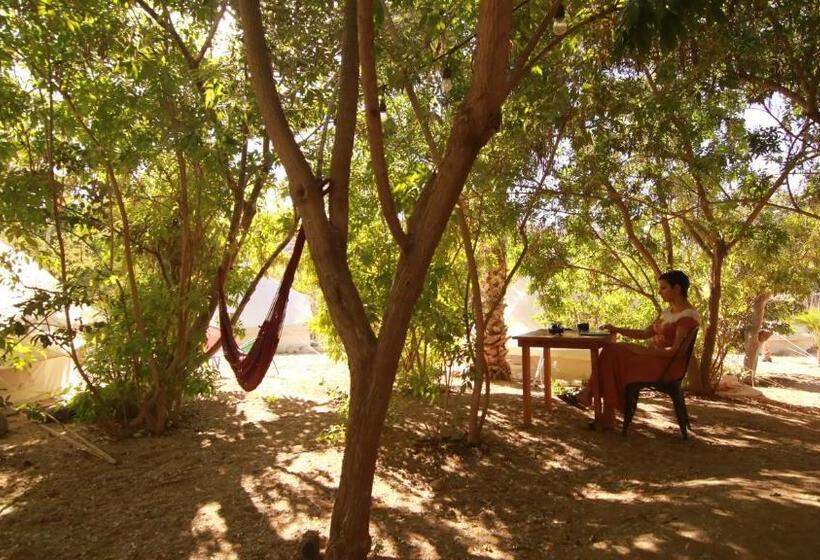 חדר סטנדרט נוף לגינה, Todos Santos Hostel Super Fast And Stable Satellite Wifi