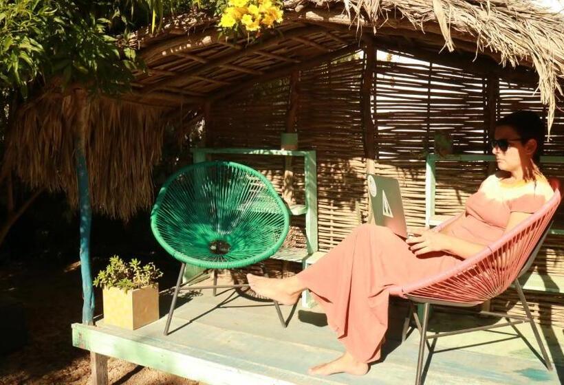 ガーデンビュースタンダードルーム, Todos Santos Hostel Super Fast And Stable Satellite Wifi