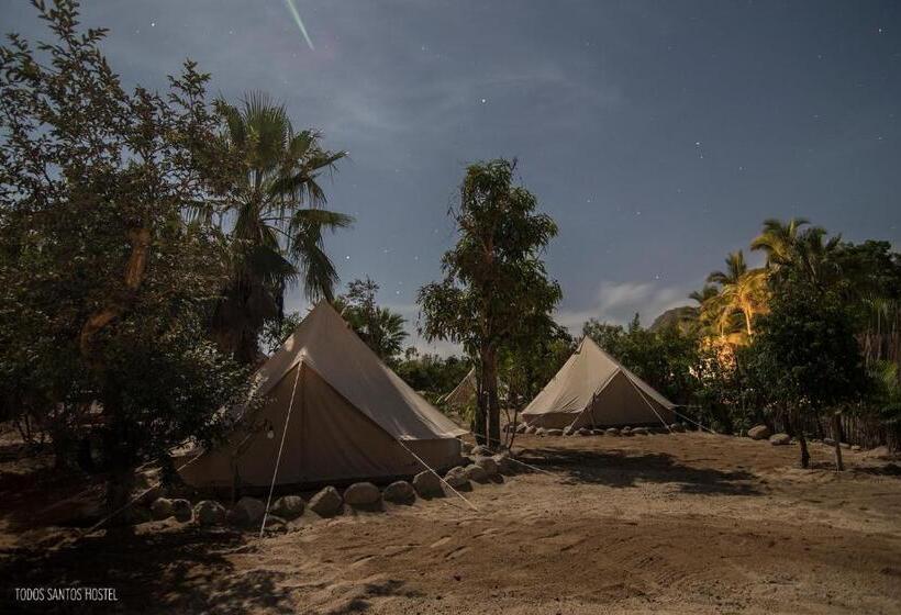 Standard Tent, Todos Santos Hostel Super Fast And Stable Satellite Wifi