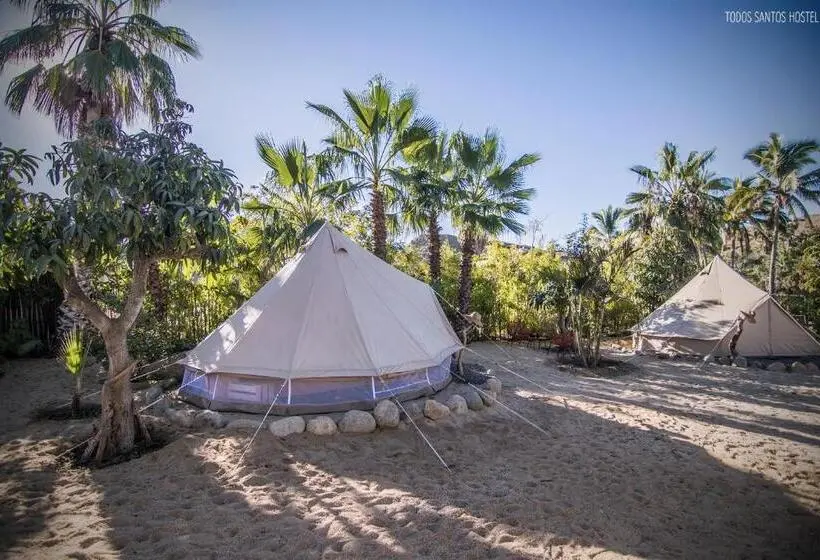 Standard Tent, Todos Santos Hostel Super Fast And Stable Satellite Wifi