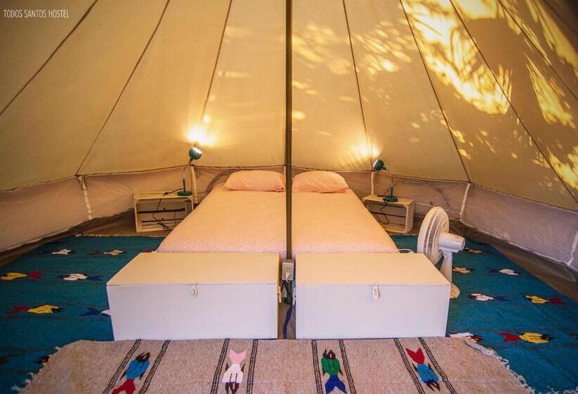 Standard Tent, Todos Santos Hostel Super Fast And Stable Satellite Wifi
