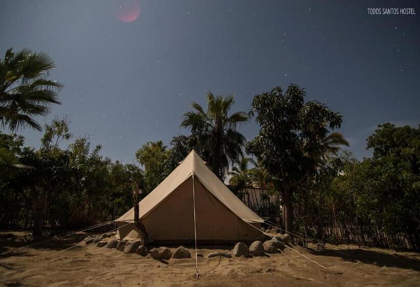 Standard Tent, Todos Santos Hostel Super Fast And Stable Satellite Wifi