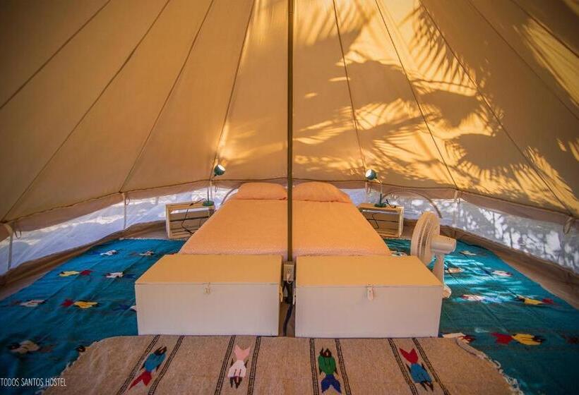 Standard Tent, Todos Santos Hostel Super Fast And Stable Satellite Wifi