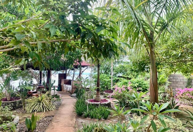 اتاق استاندارد چهار تخته با چشم‌انداز دریا, Adayo Cove Resort