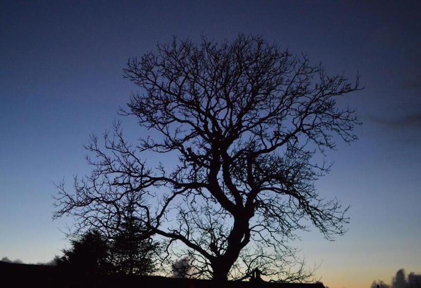 Standard Room Adapted for people with reduced mobility, Air Leth Bed & Breakfast