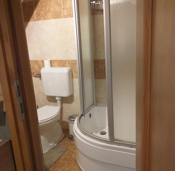 חדר סטנדרט לשלושה, Deák Panzió