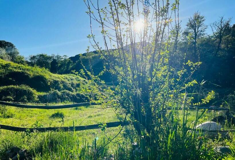 בקתת חדר, Cabane