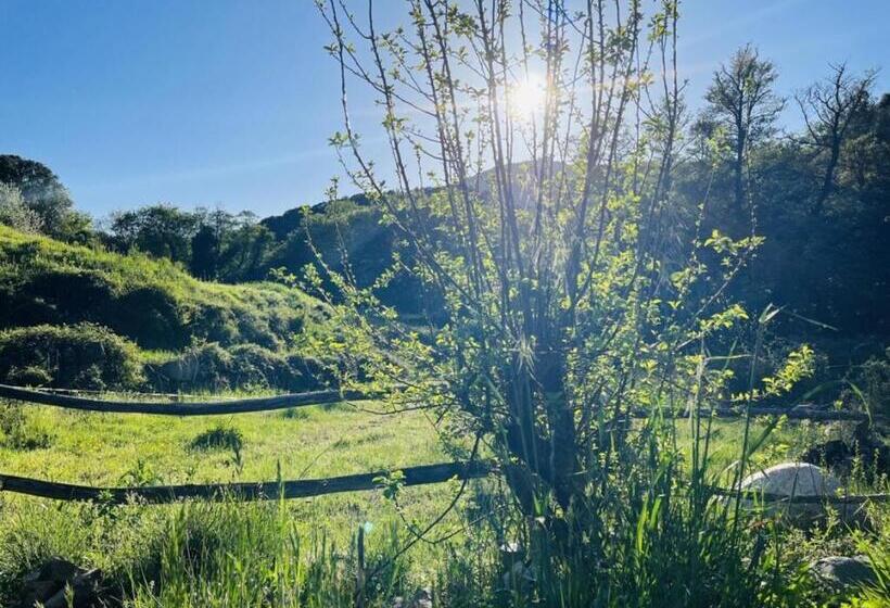 בקתת חדר, Cabane