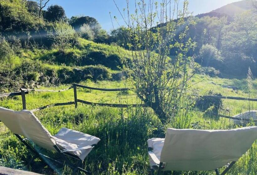 בקתת חדר, Cabane