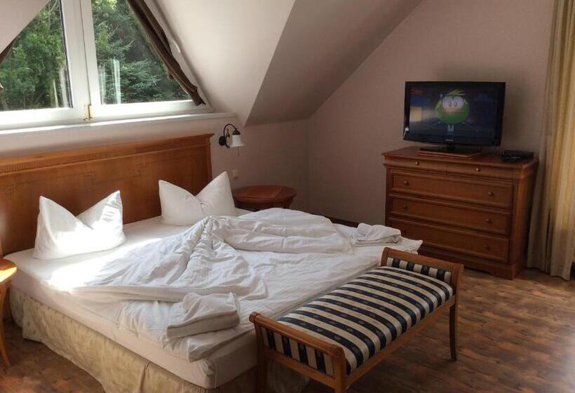 غرفة ديلوكس, Gästehaus Windflüchter