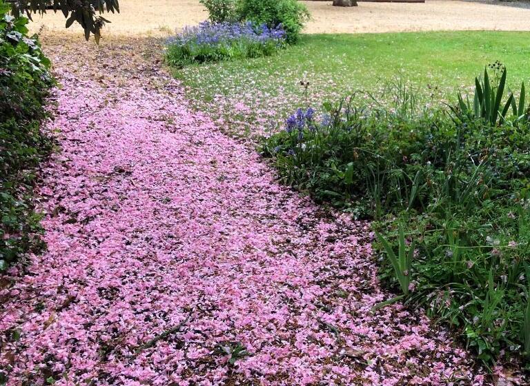 庭の見える1ベッドルームアパートメント, Au Rez De Jardin
