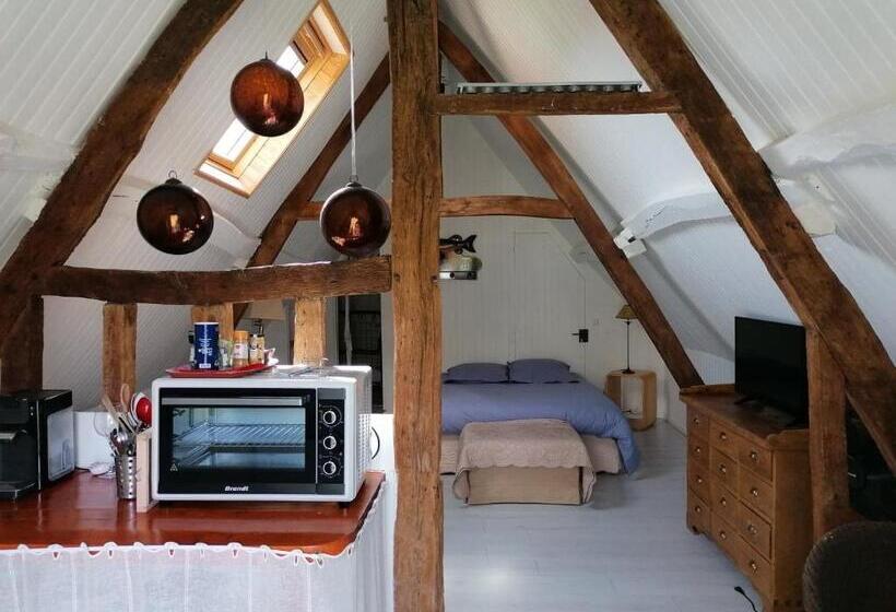 חדר סטודיו סטנדרד, Les Portes Des Froises