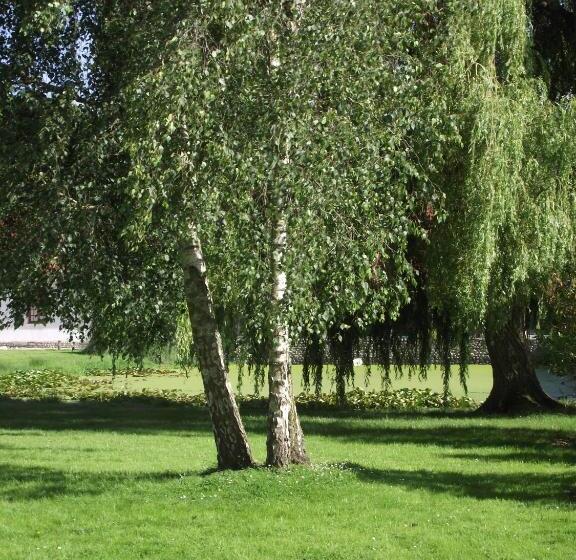 חדר סטודיו סטנדרד, Les Portes Des Froises