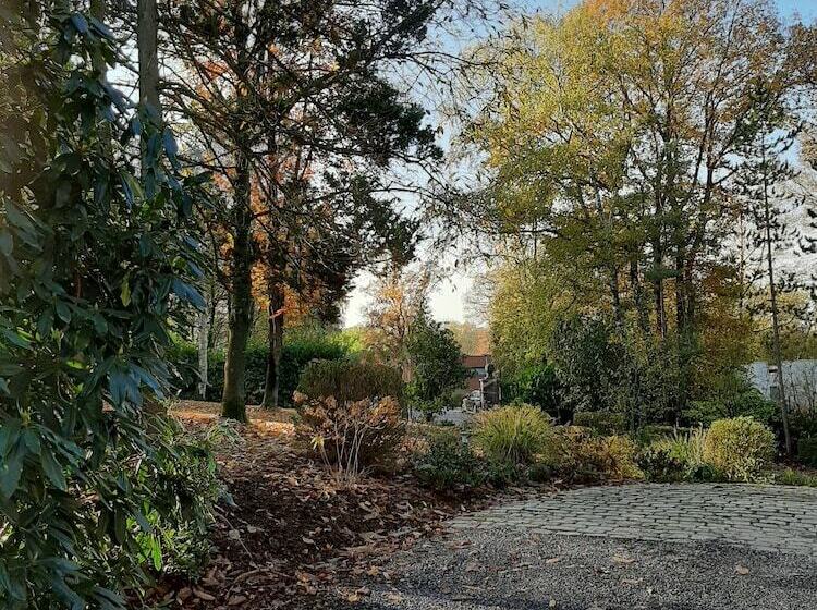 Номер Стандарт, Le Chateau Des Eglantines