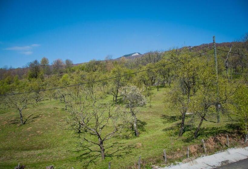 Дом 1 Спальня, Pensiunea Drumul Voievozilor