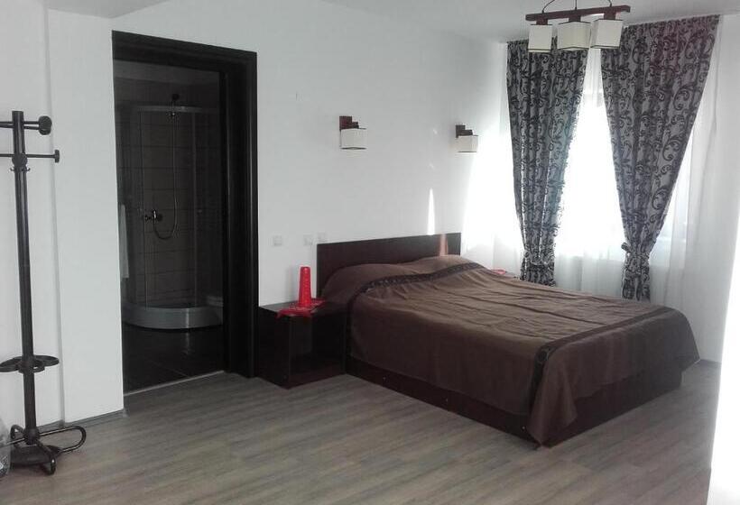 Дом 1 Спальня, Pensiunea Drumul Voievozilor