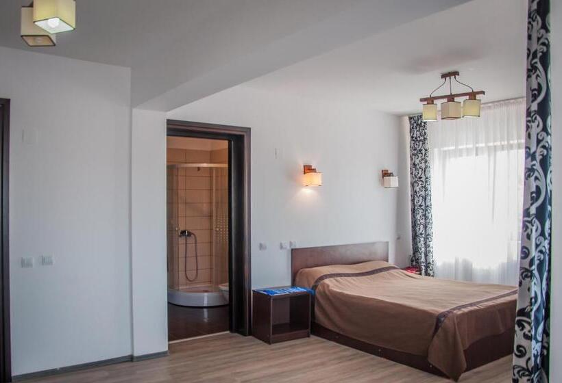 Дом 1 Спальня, Pensiunea Drumul Voievozilor