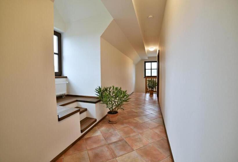 إستديو قياسى مطل على حمام السباحة, Statek Pod Lípou