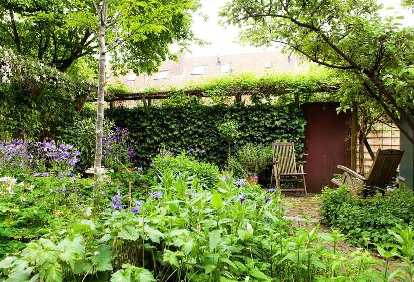 1 Yatak Odalı Zemin Kat Daire, Family House Amsterdam