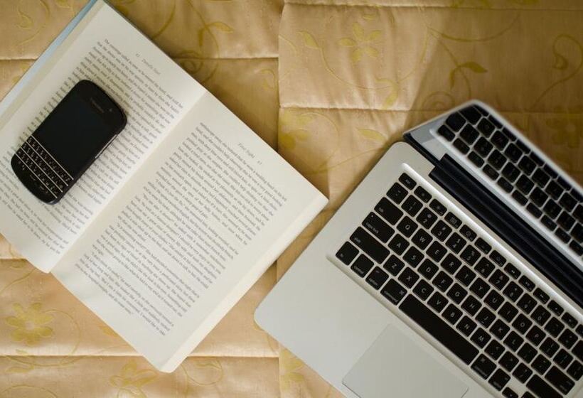 اتاق استاندارد سه نفره, Asphodel Inn