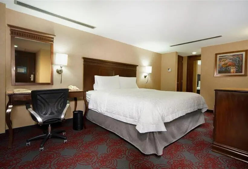 Standard-huone King-vuode, Hampton Inn By Hilton Queretaro Tecnologico