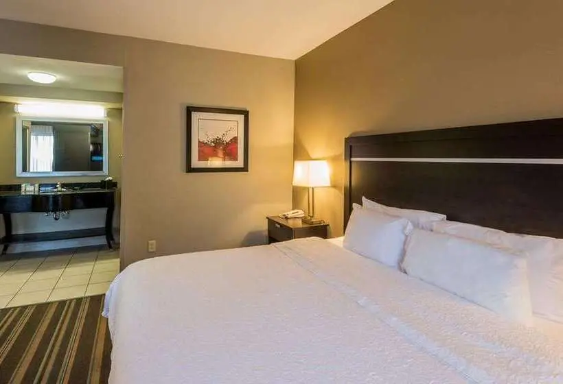 Standard-studio King-vuode, Hampton Inn By Hilton Queretaro Tecnologico