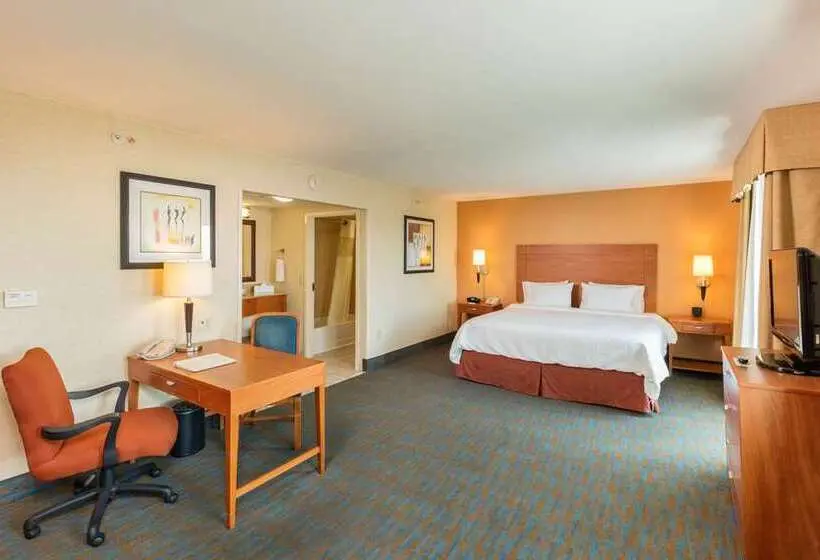 Standard-studio King-vuode, Hampton Inn By Hilton Queretaro Tecnologico