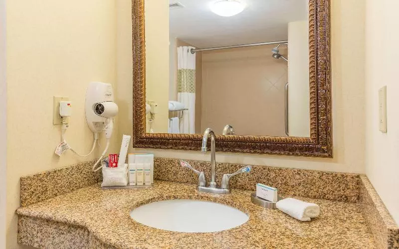 اتاق استاندارد با تخت بزرگ, Hampton Inn By Hilton Queretaro Tecnologico