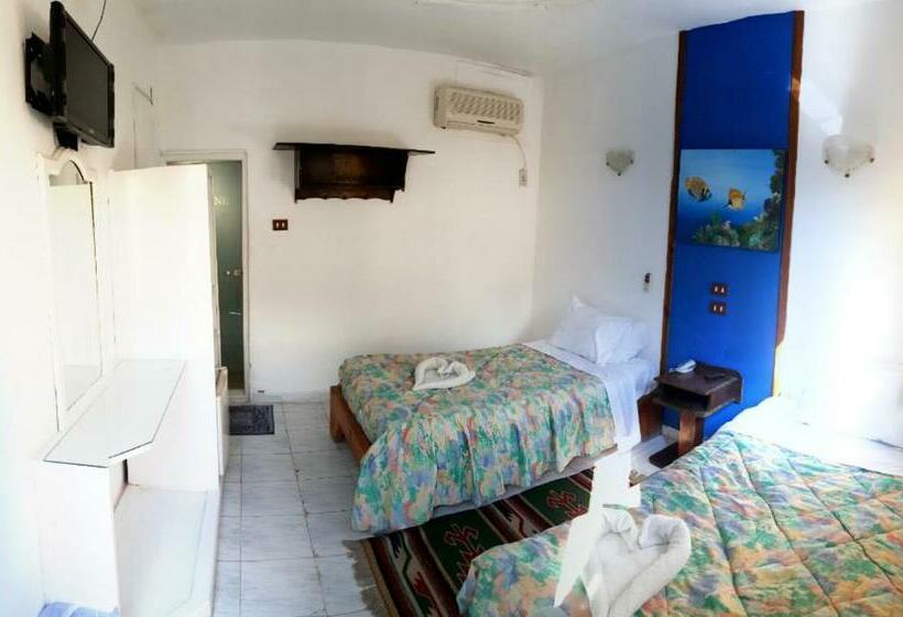 スタンダードルーム, Neptune