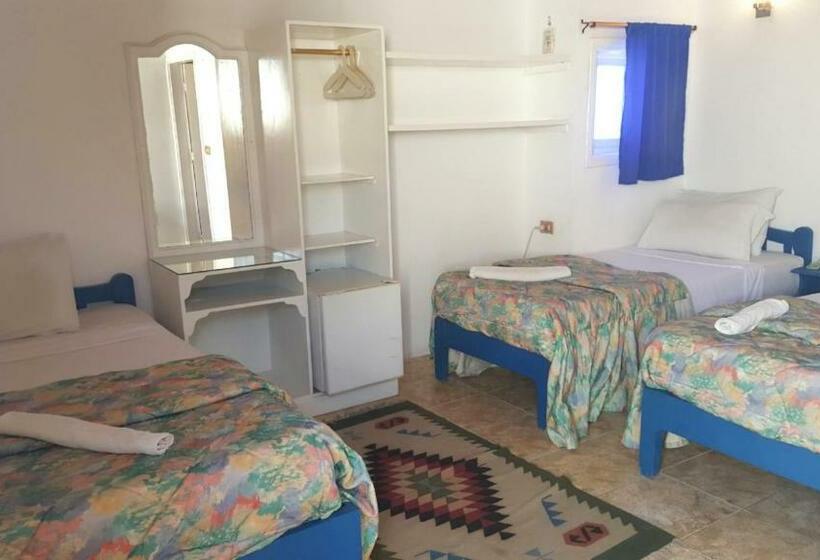 スタンダードトリプルルーム, Neptune