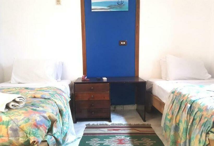 スタンダードトリプルルーム, Neptune