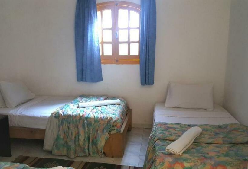 スタンダードトリプルルーム, Neptune