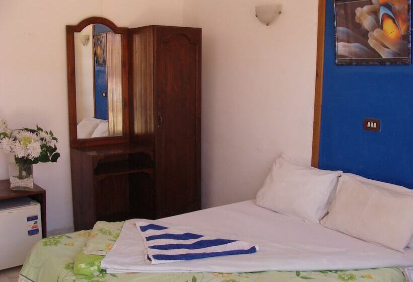 スタンダードルーム, Neptune