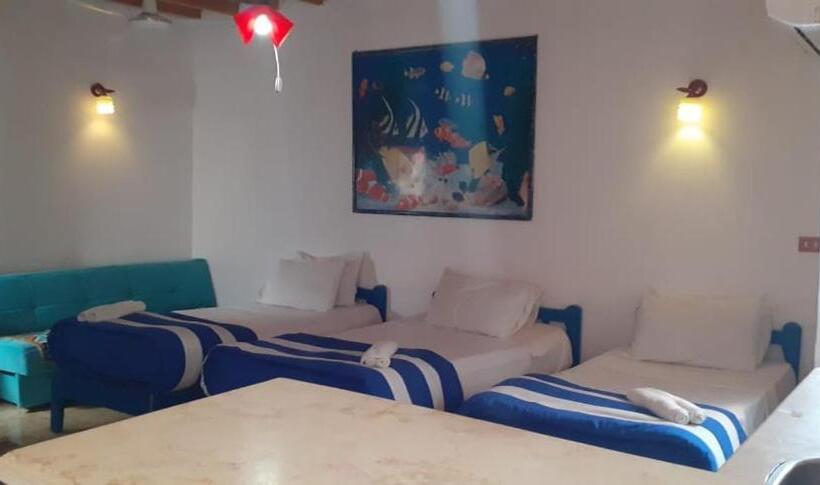 スタンダード4人部屋, Neptune