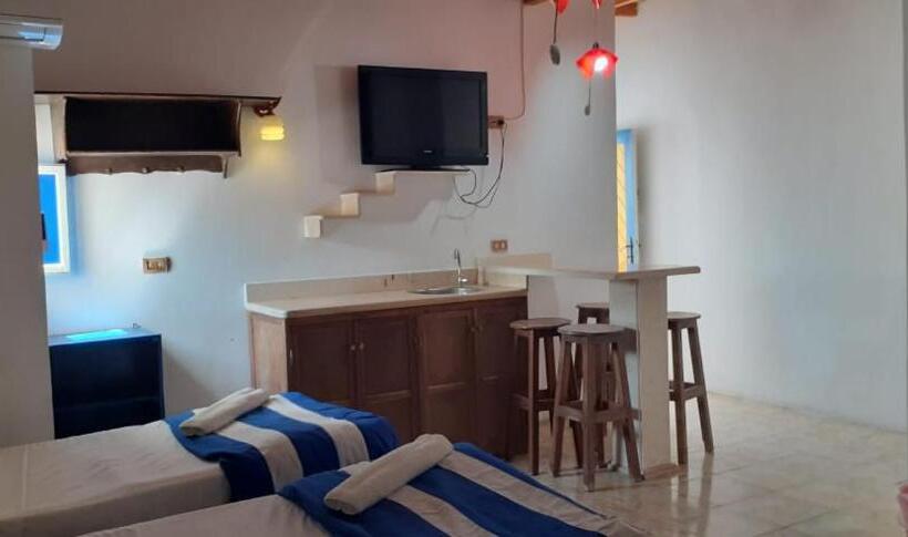 スタンダード4人部屋, Neptune